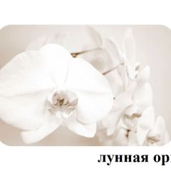 БОСТОН - 2 опоры Триумф в Ревде - revda.mebel24.online | фото 18
