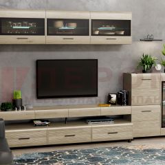 Гостиная Камелия Композиция 12 (Гикори Джексон светлый) в Ревде - revda.mebel24.online | фото