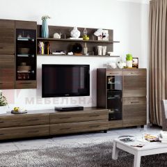 Гостиная Камелия Композиция 6 (Гикори Джексон темный) в Ревде - revda.mebel24.online | фото