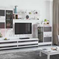 Гостиная Камелия Композиция 6 (Снежный ясень - серый) в Ревде - revda.mebel24.online | фото