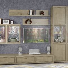 Гостиная Карина Композиция 1 (Гикори Джексон светлый) в Ревде - revda.mebel24.online | фото