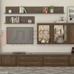 Гостиная Карина Композиция 10 (Акация Молдау) в Ревде - revda.mebel24.online | фото