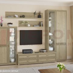 Гостиная Карина Композиция 12 (Гикори Джексон светлый) в Ревде - revda.mebel24.online | фото