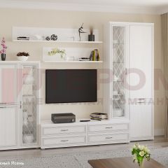 Гостиная Карина Композиция 12 (Снежный ясень) в Ревде - revda.mebel24.online | фото