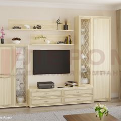 Гостиная Карина Композиция 12 (Ясень Асахи) в Ревде - revda.mebel24.online | фото