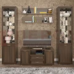 Гостиная Карина Композиция 13 (Акация Молдау) в Ревде - revda.mebel24.online | фото