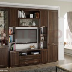 Гостиная Карина Композиция 2 (Акация Молдау) в Ревде - revda.mebel24.online | фото