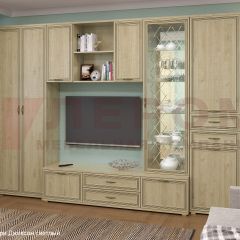 Гостиная Карина Композиция 21 (Гикори Джексон светлый) в Ревде - revda.mebel24.online | фото 6
