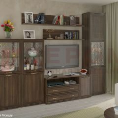 Гостиная Карина Композиция 22 (Акация Молдау) в Ревде - revda.mebel24.online | фото