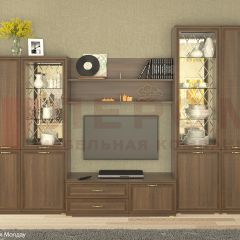 Гостиная Карина Композиция 24 (Акация Молдау) в Ревде - revda.mebel24.online | фото