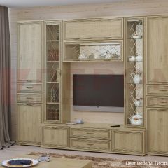 Гостиная Карина Композиция 3 (Гикори Джексон светлый) в Ревде - revda.mebel24.online | фото
