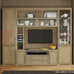 Гостиная Карина Композиция 9 (Гикори Джексон светлый) в Ревде - revda.mebel24.online | фото