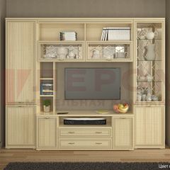 Гостиная Карина Композиция 9 (Ясень Асахи) в Ревде - revda.mebel24.online | фото