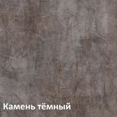 Крафт Полка навесная 15.64 в Ревде - revda.mebel24.online | фото 4