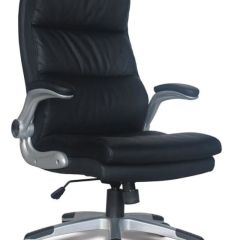 Кресло офисное BRABIX "Fregat EX-510" (рециклированная кожа, черное) 530863 в Ревде - revda.mebel24.online | фото 1