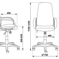 Кресло руководителя Бюрократ CH-808AXSN/G темно-серый 3C1 в Ревде - revda.mebel24.online | фото 3