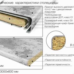 Кухонный фартук со столешницей (А-011) в едином стиле (3050 мм) в Ревде - revda.mebel24.online | фото 6