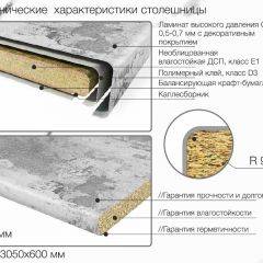 Кухонный фартук со столешницей (А-07) в едином стиле (3050 мм) в Ревде - revda.mebel24.online | фото 6