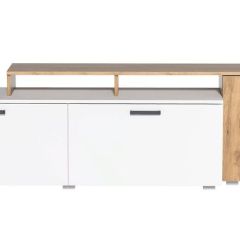 Гостиная Эльза (модульная) Дуб Крафт Золотой/Белый в Ревде - revda.mebel24.online | фото 4