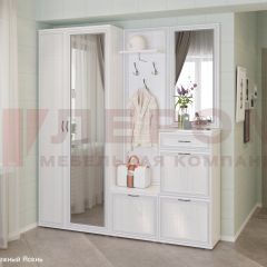 Прихожая Карина композиция 1 (Снежный ясень) в Ревде - revda.mebel24.online | фото