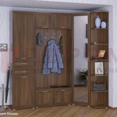 Прихожая Карина композиция 3 (Акация Молдау) в Ревде - revda.mebel24.online | фото