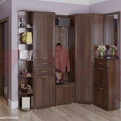 Прихожая Карина композиция 5 (Акация Молдау) в Ревде - revda.mebel24.online | фото