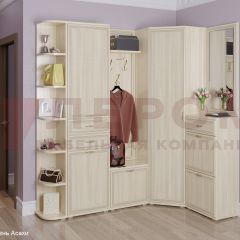 Прихожая Карина композиция 5 (Ясень Асахи) в Ревде - revda.mebel24.online | фото