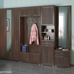 Прихожая Карина композиция 6 (Акация Молдау) в Ревде - revda.mebel24.online | фото