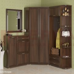 Прихожая Карина композиция 8 (Акация Молдау) в Ревде - revda.mebel24.online | фото