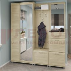 Прихожая Мелисса композиция 1 (Ясень Асахи) в Ревде - revda.mebel24.online | фото