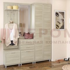 Прихожая Мелисса композиция 11 (Ясень Асахи) в Ревде - revda.mebel24.online | фото