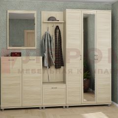 Прихожая Мелисса композиция 2 (Ясень Асахи) в Ревде - revda.mebel24.online | фото
