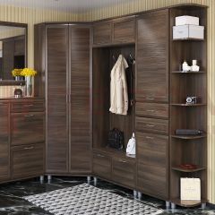 Прихожая Мелисса композиция 6 (Акация Молдау) в Ревде - revda.mebel24.online | фото