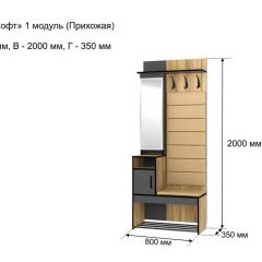 ОЛЬГА-ЛОФТ 1 Прихожая в Ревде - revda.mebel24.online | фото 4