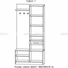 Прихожая София 1 в Ревде - revda.mebel24.online | фото 3