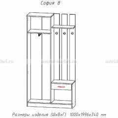 Прихожая София 8 в Ревде - revda.mebel24.online | фото 2