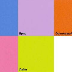 Шкаф 2-х створчатый с ящиками (1000) в Ревде - revda.mebel24.online | фото 5