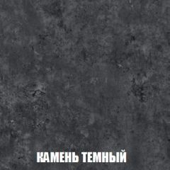 Шкаф 2-х створчатый МСП-1 (Дуб Золотой/Камень темный) в Ревде - revda.mebel24.online | фото 5