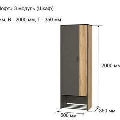 ОЛЬГА-ЛОФТ 3 Шкаф 2-х створчатый в Ревде - revda.mebel24.online | фото 4