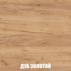 Шкаф 3-х створчатый МСП-1 (Дуб Золотой/Камень темный) в Ревде - revda.mebel24.online | фото 4