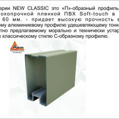 Шкаф-купе 1500 серии NEW CLASSIC K3+K3+B2+PL1 (2 ящика+1 штанга) профиль «Капучино» в Ревде - revda.mebel24.online | фото 5