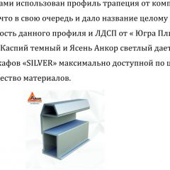 Шкаф-купе 1500 серии SILVER S1+S1+B2+PL2 (2 ящика+1 штанга+1 полка) профиль «Серебро» в Ревде - revda.mebel24.online | фото 4