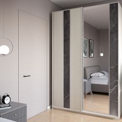 Шкаф-купе 1500 серии SILVER S4+S3Z+B2+PL1 (2 ящика+1 штанга) профиль «Серебро» в Ревде - revda.mebel24.online | фото