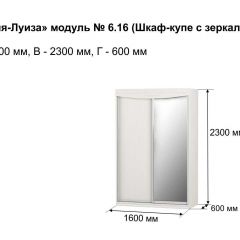 Шкаф-купе 1600 с зеркалом "Мария-Луиза 6.16" в Ревде - revda.mebel24.online | фото 4