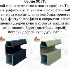 Шкаф-купе 1600 серии SOFT D8+D2+B2+PL4 (2 ящика+F обр.штанга) профиль «Капучино» в Ревде - revda.mebel24.online | фото 10