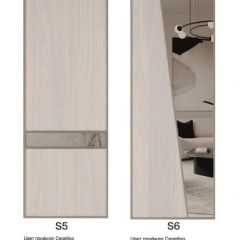 Шкаф-купе 1700 серии SILVER S5+S5+B2+PL3 (2 ящика+2 штанги) профиль «Серебро» в Ревде - revda.mebel24.online | фото 11