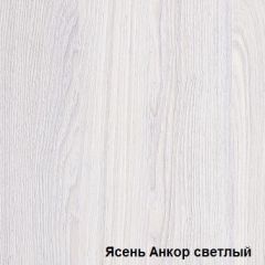 Шкаф-купе №19 Серия 3 Квадро (1500) Ясень Анкор светлый в Ревде - revda.mebel24.online | фото 2