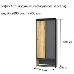 ОЛЬГА-ЛОФТ 10.1 Шкаф-купе без зеркала в Ревде - revda.mebel24.online | фото 3