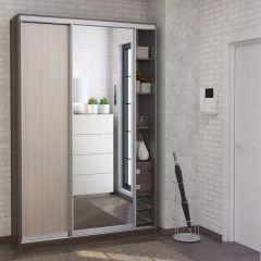Шкаф-купе Джонни 1500 вариант 3 (ЛДСП/Зеркало) в Ревде - revda.mebel24.online | фото