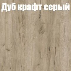 Шкаф-купе Эдем 1.5 (Дуб Крафт серый/Бетонный камень) двери ЛДСП вставка зеркало в Ревде - revda.mebel24.online | фото 4